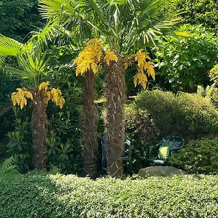 Miralago Daire